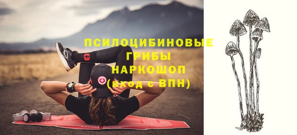 герыч Бородино