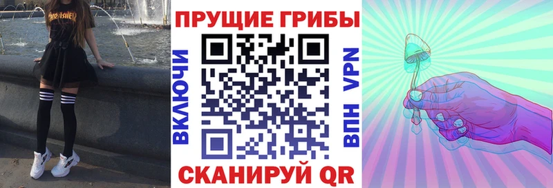 Галлюциногенные грибы прущие грибы  Купить где  Макаров 